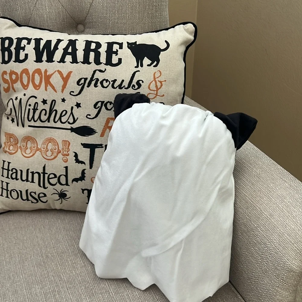 NWT Target Bullseye 2024 Halloween Viral 12in. Plush Ghost Dog Decor